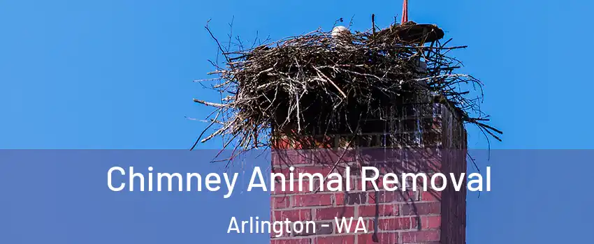  Chimney Animal Removal Arlington - WA