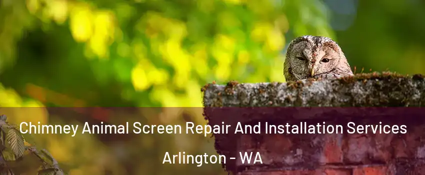  Chimney Animal Screen Repair And Installation Services Arlington - WA