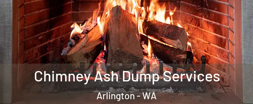  Chimney Ash Dump Services Arlington - WA