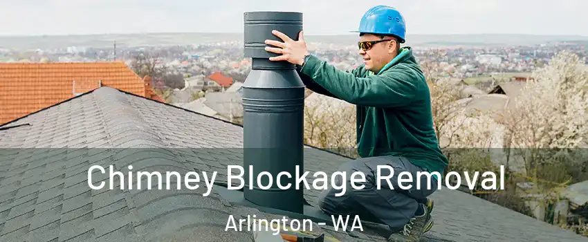  Chimney Blockage Removal Arlington - WA