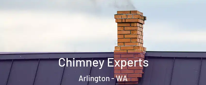  Chimney Experts Arlington - WA