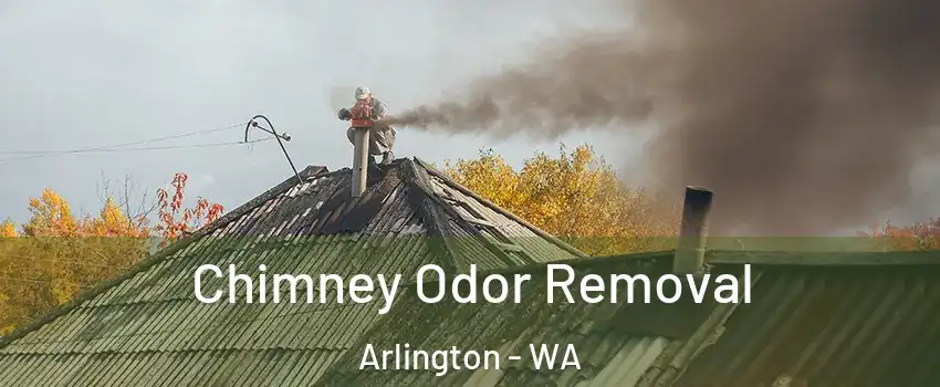  Chimney Odor Removal Arlington - WA