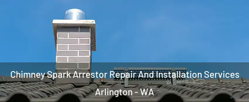  Chimney Spark Arrestor Repair And Installation Services Arlington - WA