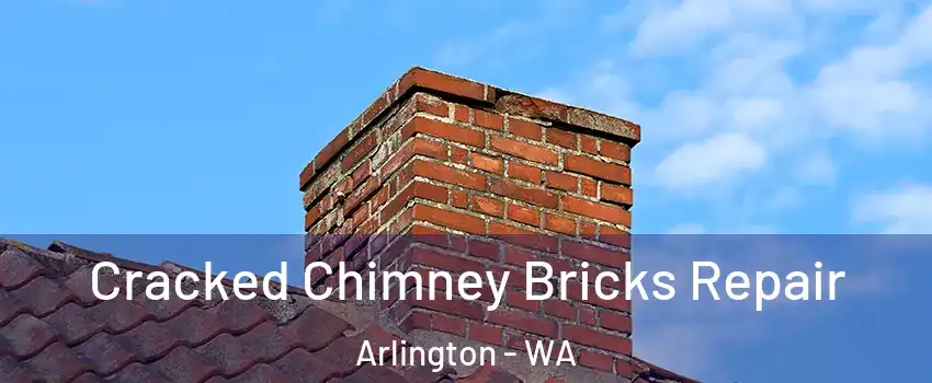  Cracked Chimney Bricks Repair Arlington - WA