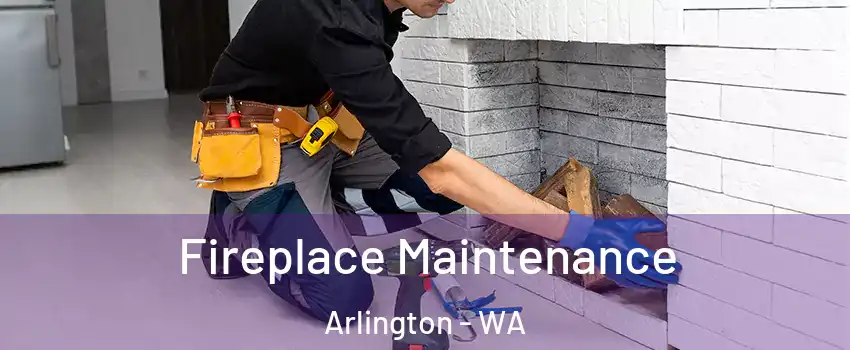  Fireplace Maintenance Arlington - WA