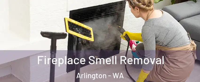  Fireplace Smell Removal Arlington - WA