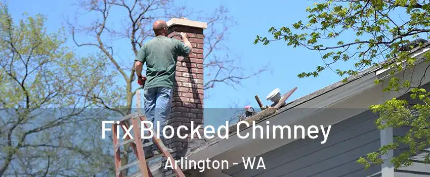  Fix Blocked Chimney Arlington - WA