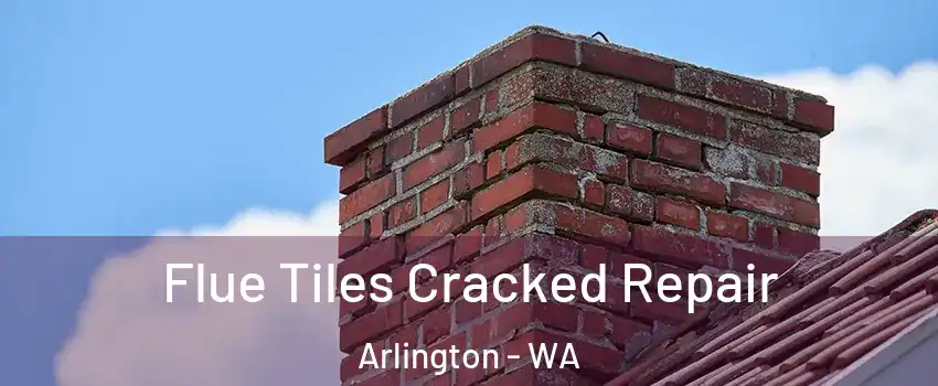  Flue Tiles Cracked Repair Arlington - WA