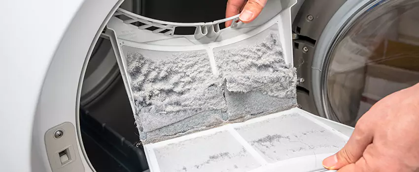 Best Dryer Lint Removal Company in Arlington, Washington