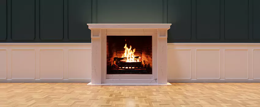 Napoleon Electric Fireplaces Inspection Service in Arlington, Washington
