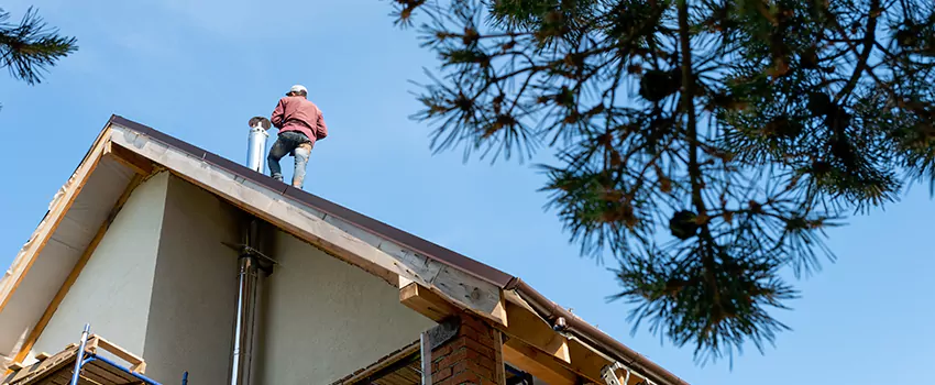 Birds Removal Contractors from Chimney in Arlington, WA