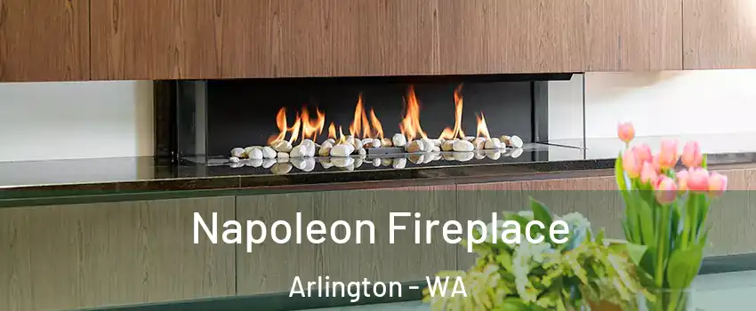  Napoleon Fireplace Arlington - WA
